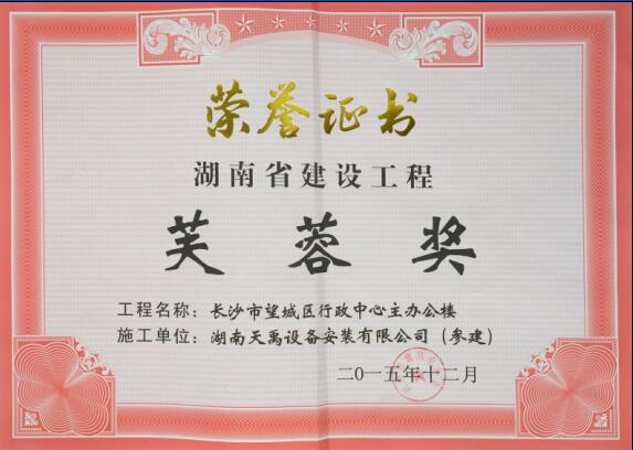 长沙市望城区行政中心主办公楼芙蓉奖.jpg