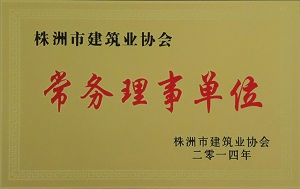 市建筑业协会常务理事单位