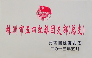 株洲市五四红旗团支部（总支）
