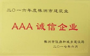 2016年度市级AAA企业